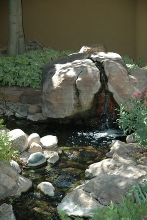 fountain, water feature, stream, stream bed, pond, bishops weed, water, babbling brook