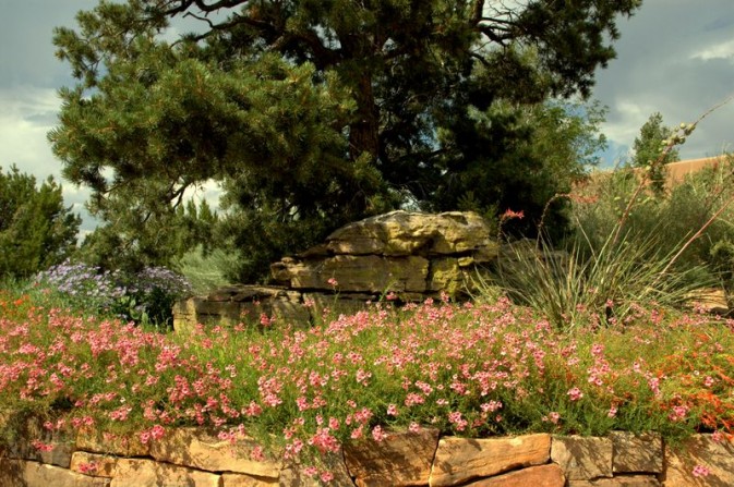 boulder, stone work, rock wall, colorful flowers, character pine, yucca