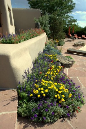 flagstone, flagstone patio, grout joints, annuals, pool, swimming pool, stucco walls