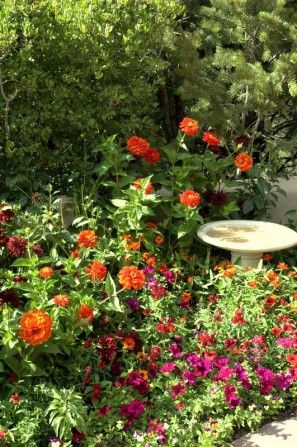 birdbath, zinnias, dalias, annauls, garden color, ceramic birdbath,